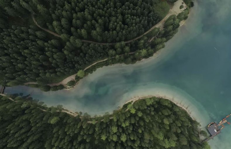 river flowing through forest