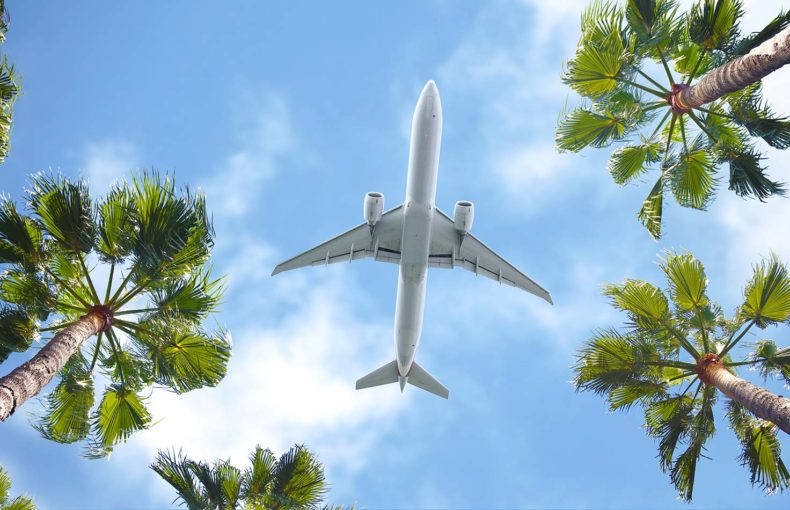 Passenger airplane flying above the tropical palm trees. Bottom view of the aircraft.